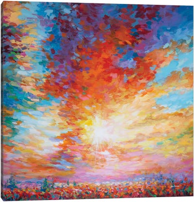 Colors Of Hope Canvas Art Print - Leon Devenice