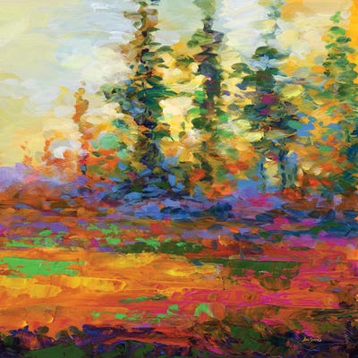 Afternoon Impressions by Leon Devenice canvas print