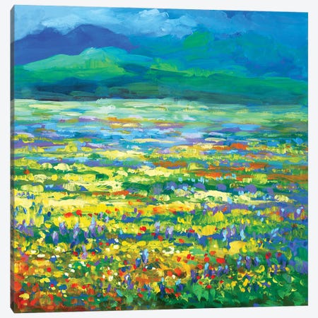Meadow Of Wildflowers Canvas Print #DVI209} by Leon Devenice Canvas Art Print