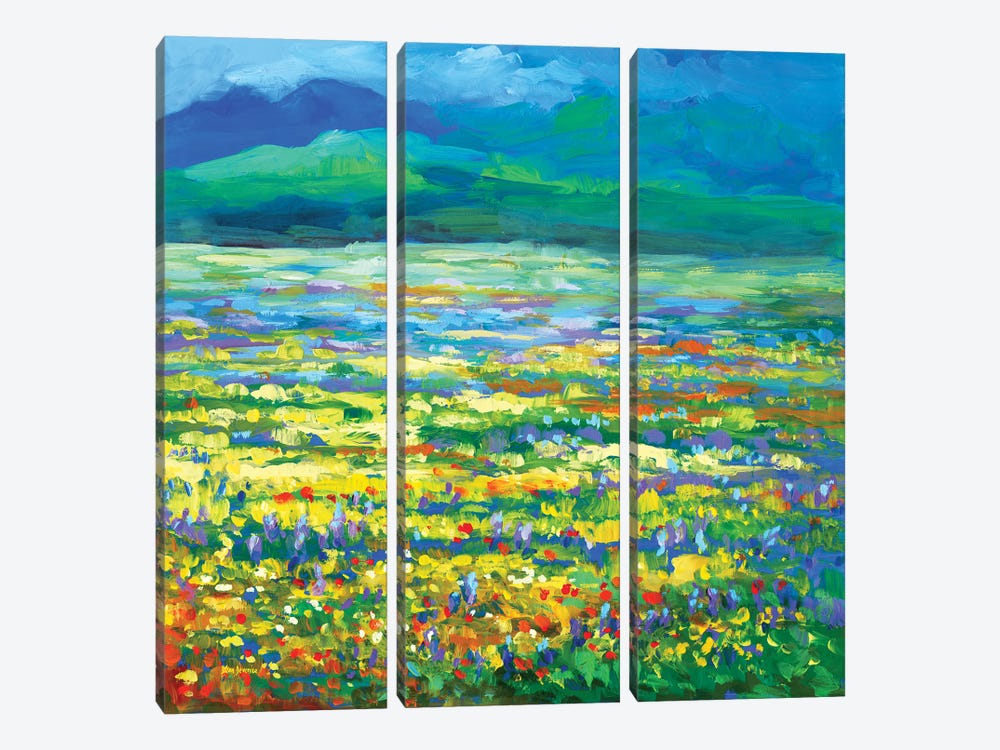 Meadow Of Wildflowers by Leon Devenice 3-piece Canvas Print