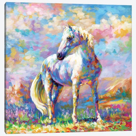 Horse In A Meadow Canvas Print #DVI224} by Leon Devenice Canvas Artwork