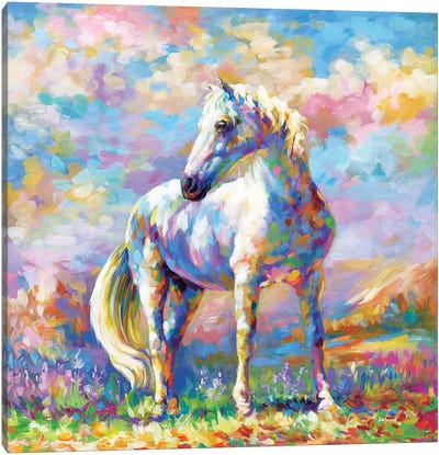 Horse In A Meadow Canvas Art Print - Leon Devenice