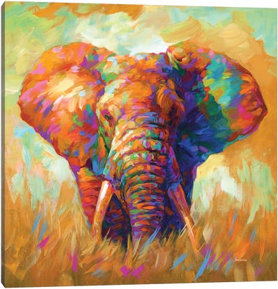 Elephant Canvas Art Print - Field, Grassland & Meadow Art