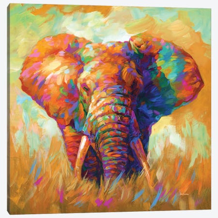 Elephant Canvas Print #DVI226} by Leon Devenice Canvas Art