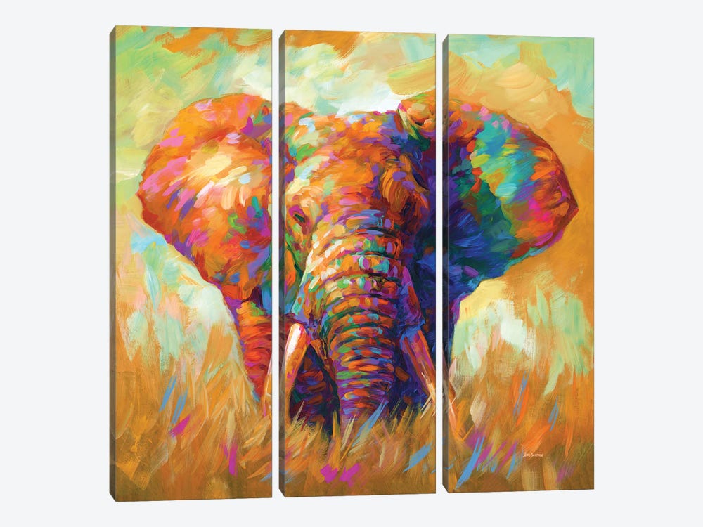Elephant by Leon Devenice 3-piece Canvas Wall Art