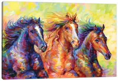 Three Friends Canvas Art Print - Kids Animal Art
