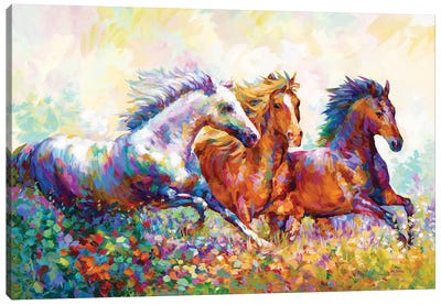 Running Free II Canvas Art Print - Farm Animal Art
