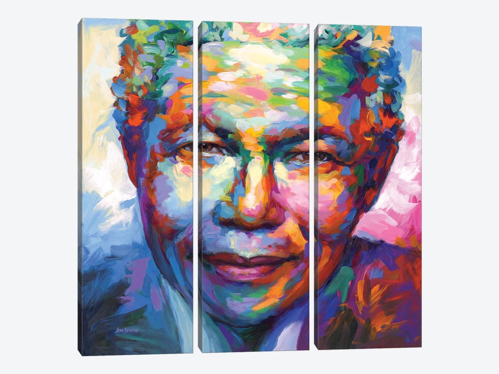 Nelson Mandela by Leon Devenice 3-piece Canvas Print