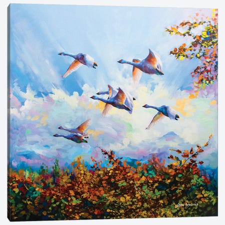Flying Swans Canvas Print #DVI31} by Leon Devenice Canvas Wall Art