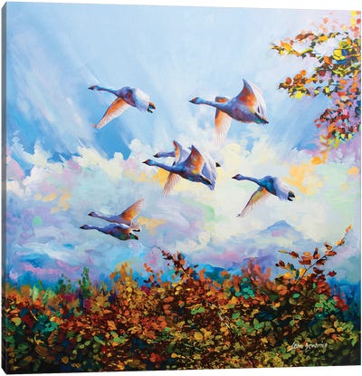Flying Swans Canvas Art Print - Swan Art