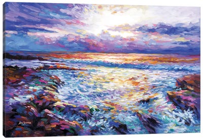 Contemplation By The Sea (Please Replace DVI 169) Canvas Art Print - Leon Devenice