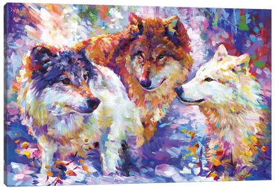 Gentle Hearted Wolf Pack Canvas Art Print - Wolf Art