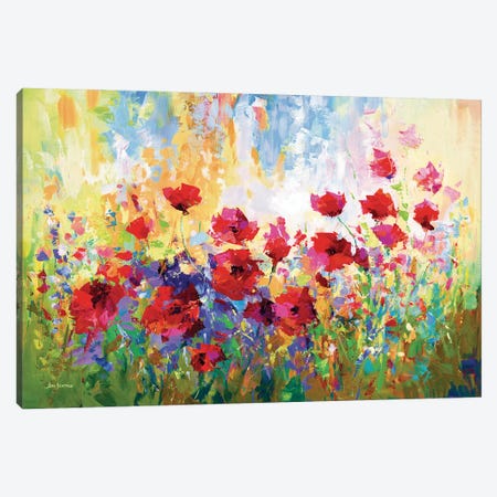 Poppy Flower Field II Canvas Print #DVI367} by Leon Devenice Art Print