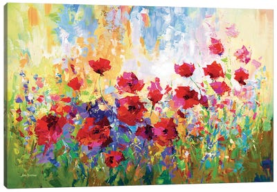 Poppy Flower Field II Canvas Art Print - Garden & Floral Landscape Art