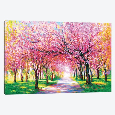 Cherry Blossom Trees Canvas Print #DVI375} by Leon Devenice Canvas Art