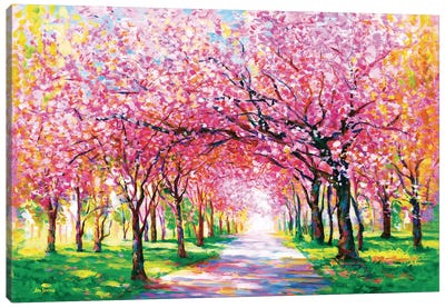 Cherry Blossom Trees Canvas Art Print - Pantone 2023 Viva Magenta