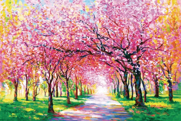 Trails, Paths & Roads: Cherry Blossom Trees by Leon Devenice