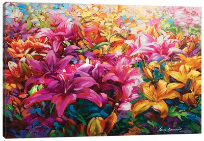 Garden Of Light Canvas Art Print - Lily Art