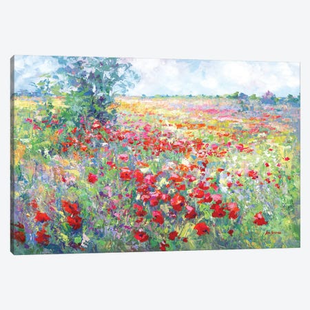Tuscan Wildflower Field Canvas Print #DVI388} by Leon Devenice Canvas Art