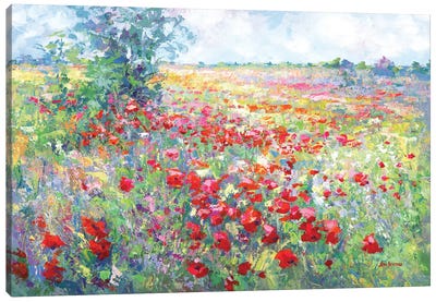 Tuscan Wildflower Field Canvas Art Print - Leon Devenice