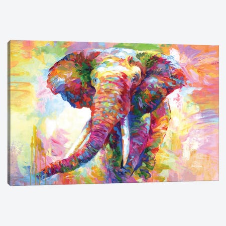 Colorful Elephant Canvas Print #DVI390} by Leon Devenice Canvas Print