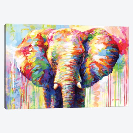 Colorful Elephant II Canvas Print #DVI397} by Leon Devenice Canvas Wall Art