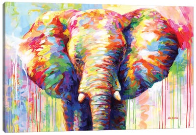 Colorful Elephant II Canvas Art Print - Leon Devenice
