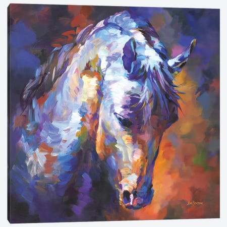 Horse Portrait Canvas Print #DVI399} by Leon Devenice Canvas Art Print