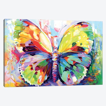 Colorful Butterfly Canvas Print #DVI434} by Leon Devenice Art Print