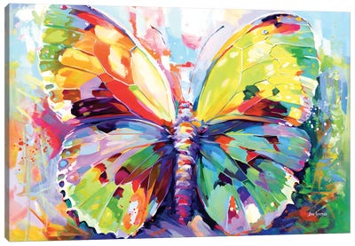Colorful Butterfly Canvas Art Print - Insect & Bug Art