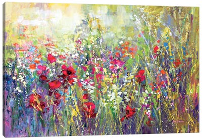 Tuscan Wildflower Field II Canvas Art Print - Field, Grassland & Meadow Art