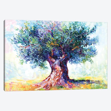 Olive Tree Canvas Print #DVI450} by Leon Devenice Canvas Art