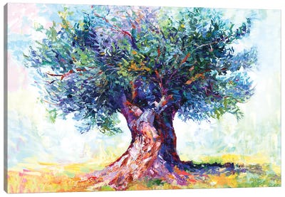 Olive Tree Canvas Art Print - Olive Tree Art