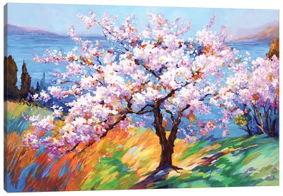 Cherry Blossoms Glory Canvas Art Print - Best Selling Floral Art