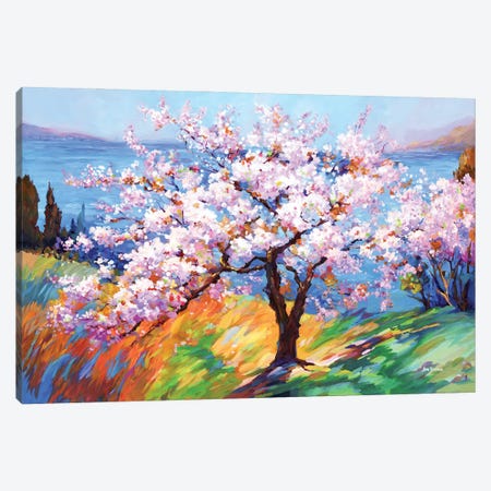 Cherry Blossoms Glory Canvas Print #DVI474} by Leon Devenice Canvas Art Print