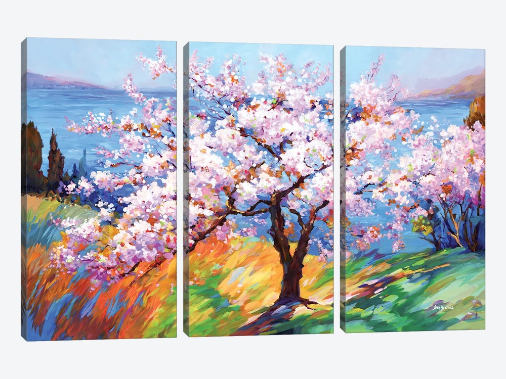 Cherry Blossoms Glory by Leon Devenice 3-piece Art Print