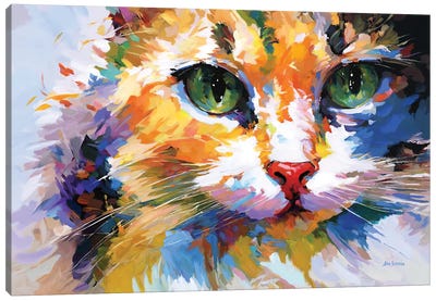 Colorful Cat Canvas Art Print - Calico Cat Art