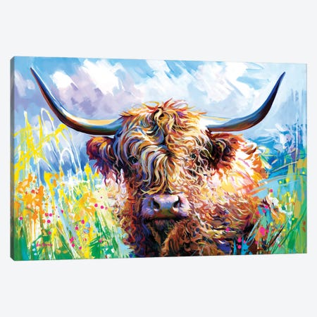 Colorful Highland Cow Canvas Print #DVI495} by Leon Devenice Canvas Print