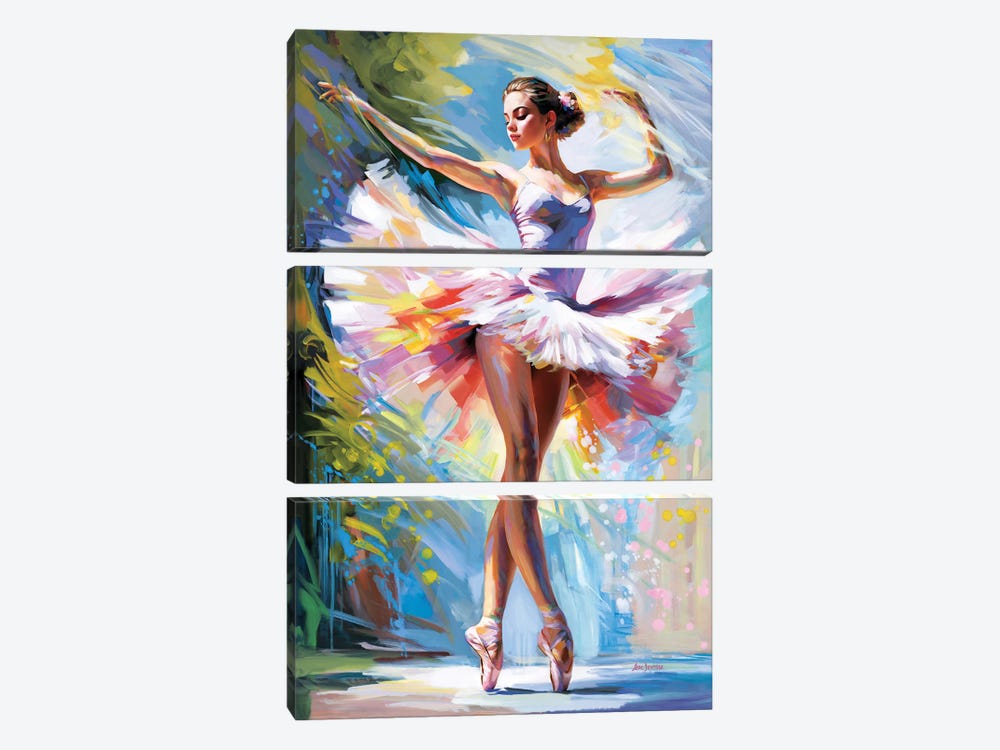 Ballerina's Embrace In Motion by Leon Devenice 3-piece Canvas Artwork