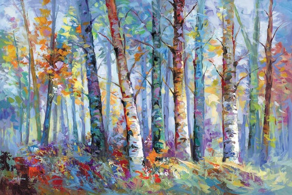 Forest With Birch Trees And Autumn Colors