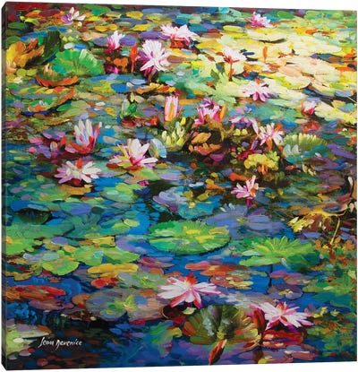 Peace Within You Canvas Art Print - Water Lilies Collection