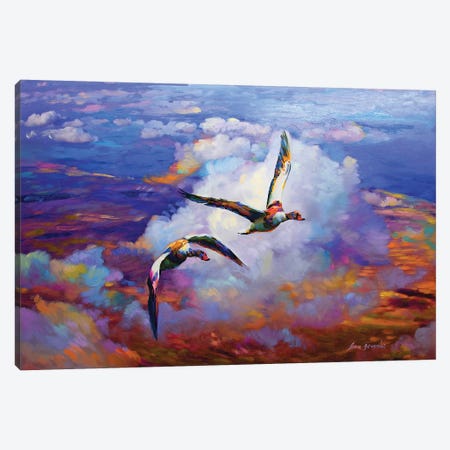 Above Clouds Canvas Print #DVI8} by Leon Devenice Canvas Print