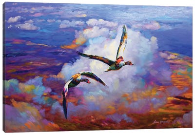 Above Clouds Canvas Art Print - Leon Devenice