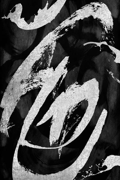 Large Black & White Art - Canvas Prints: Rambunctious Silver II by Jordan Davila