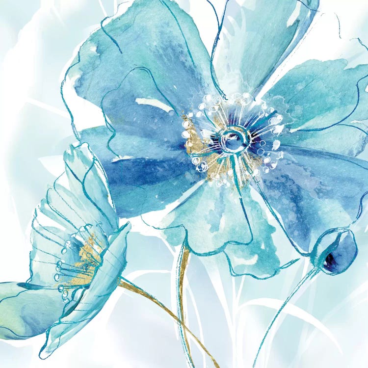 Blue Spring Poppy I