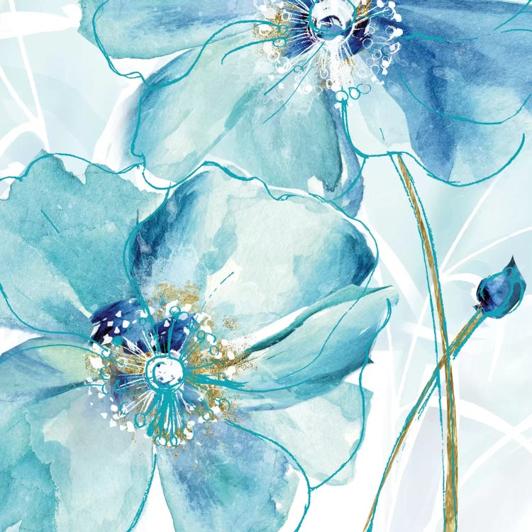 Blue Spring Poppy II