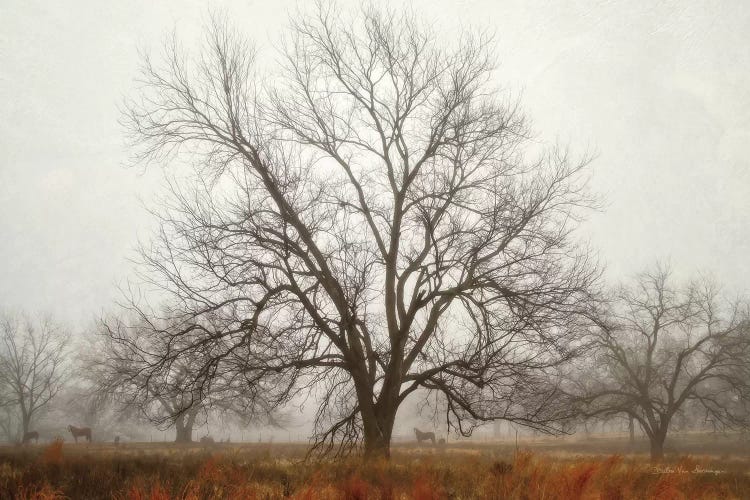 Morning Calm I by Debra Van Swearingen wall art