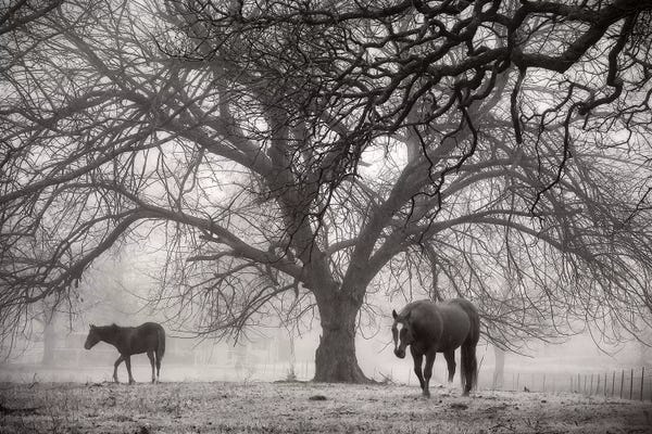 Debra Van Swearingen