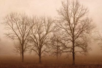 Morning Calm III by Debra Van Swearingen framed wall art