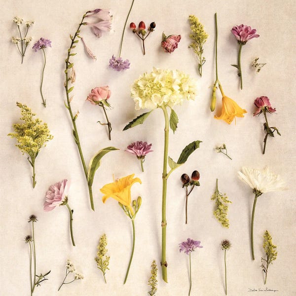 Debra Van Swearingen: Cottage Floral II No Shell by Debra Van Swearingen
